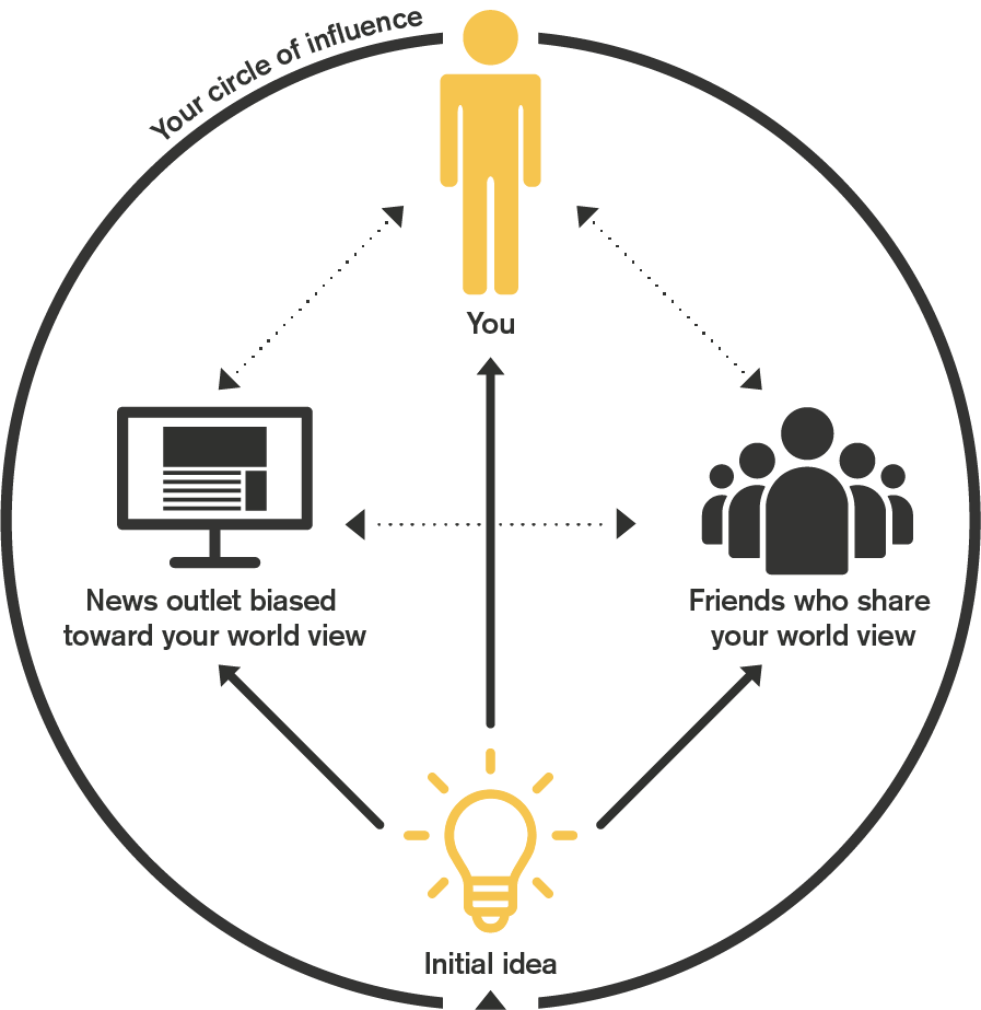 Echo Chamber Diagram